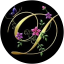 Dip Patel profile picture